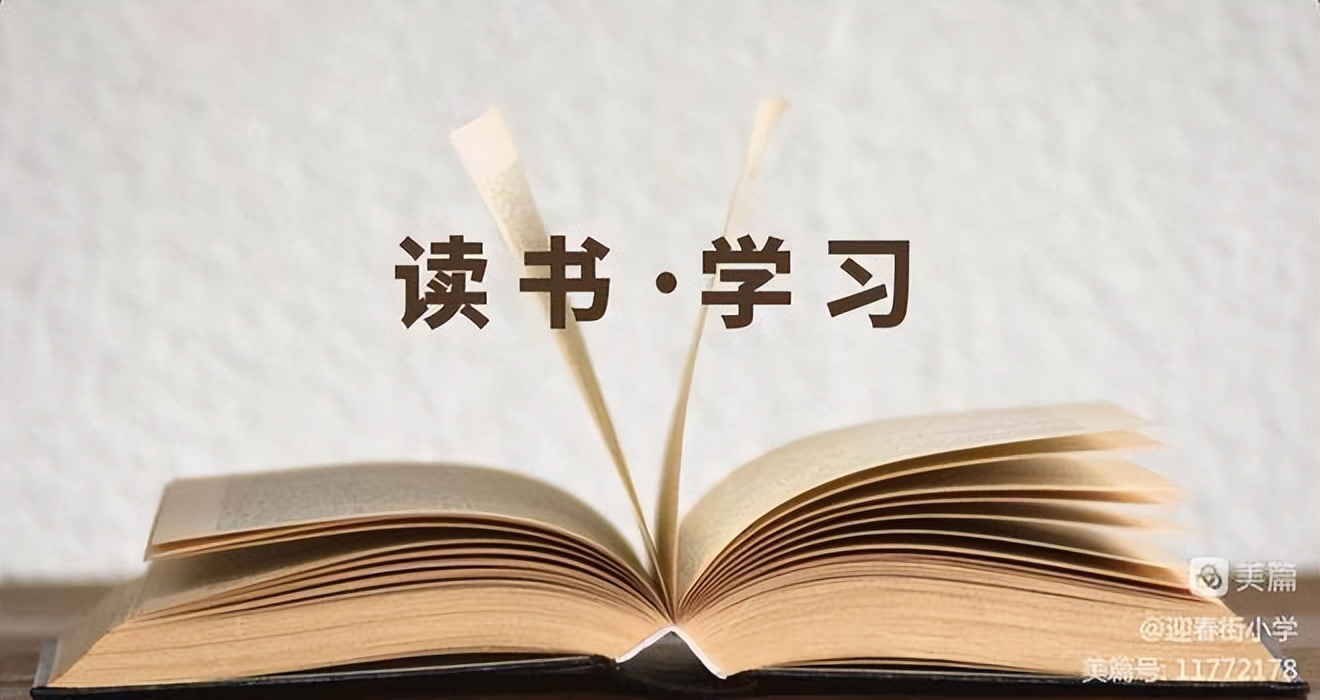 迎春街小学：学习贯彻*党**的二十大读书奋进向未来