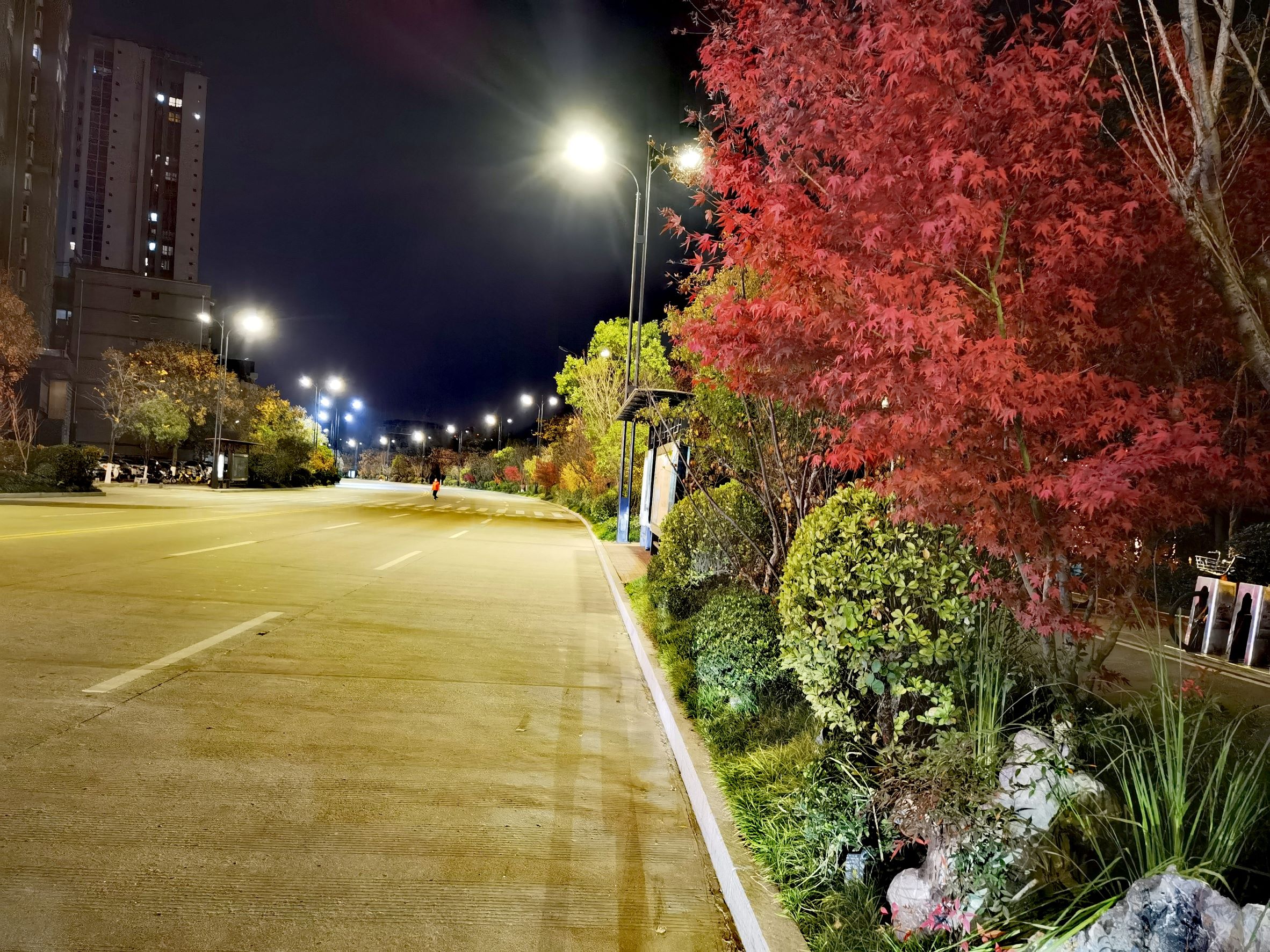 绽放巴黎在哪儿看,2022世界杯看球最好的位置