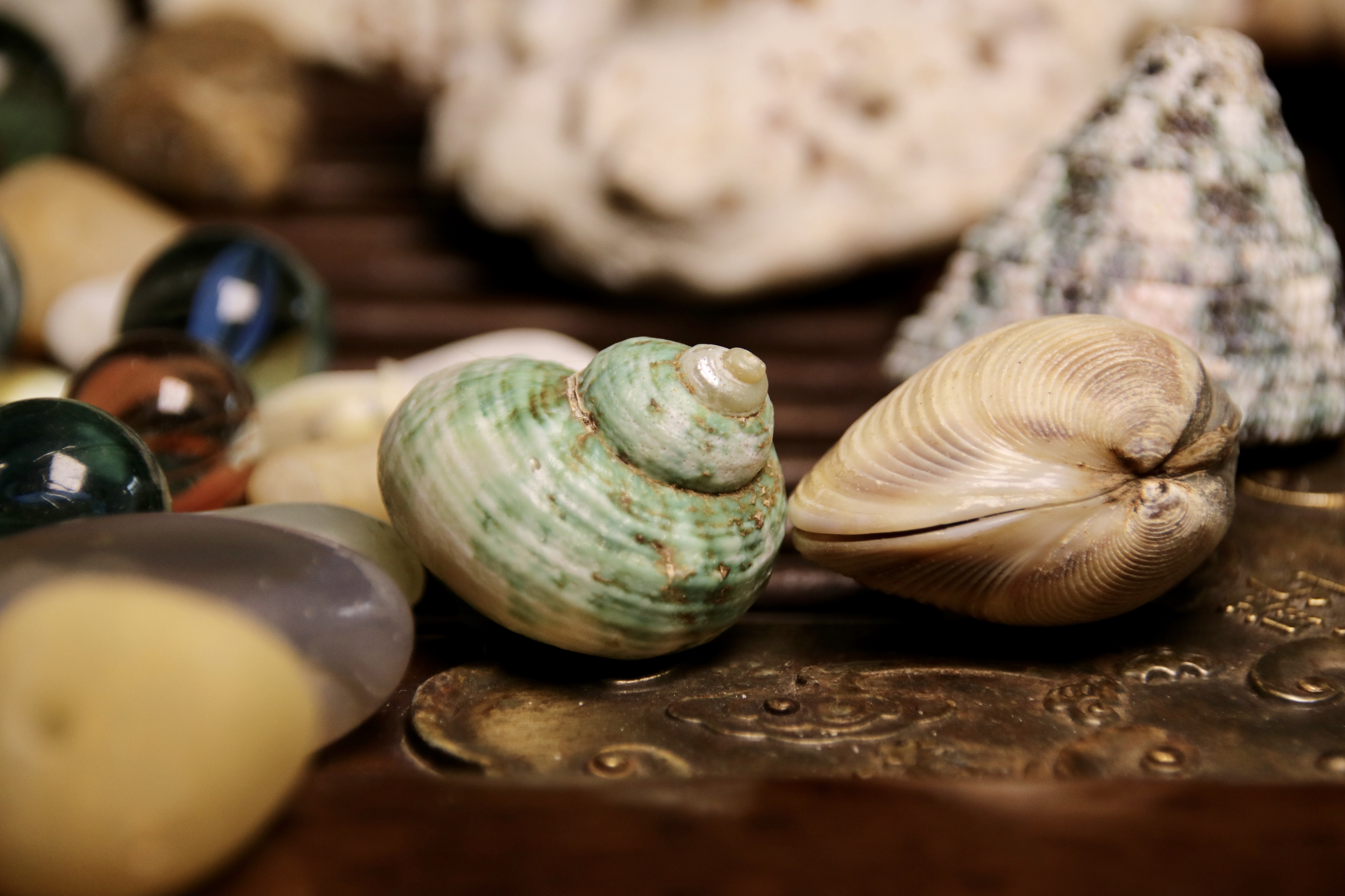 小物件不见了怎么办,小物件突然消失了怎么办