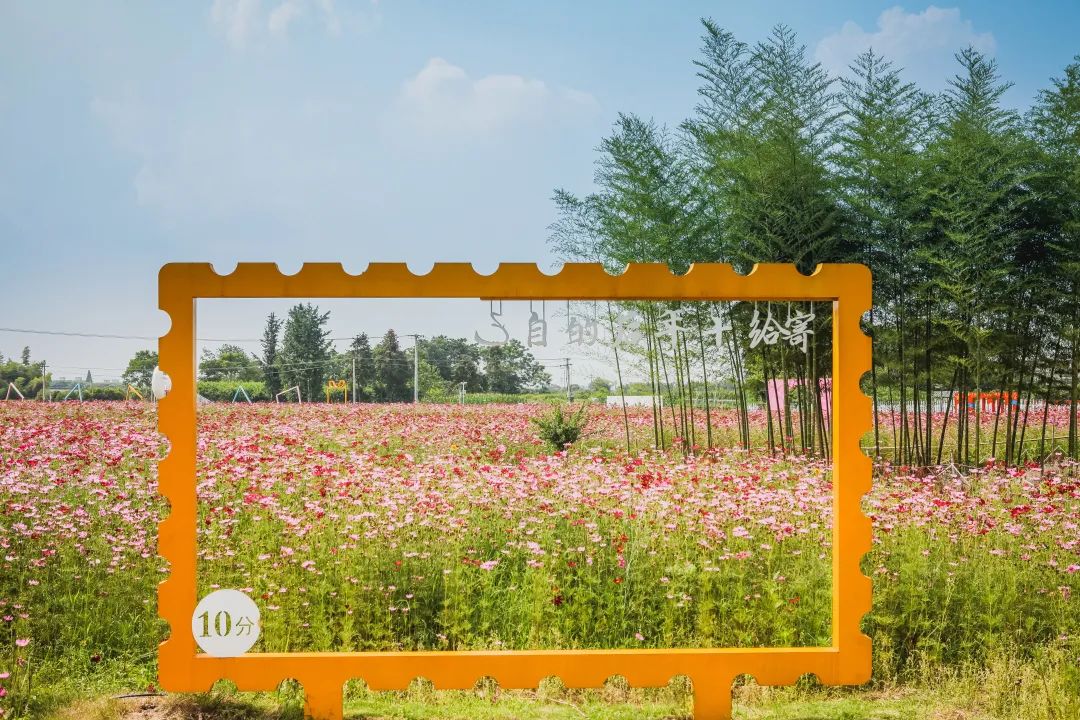 稻梦空间乡村生态观光园,稻梦空间采摘园