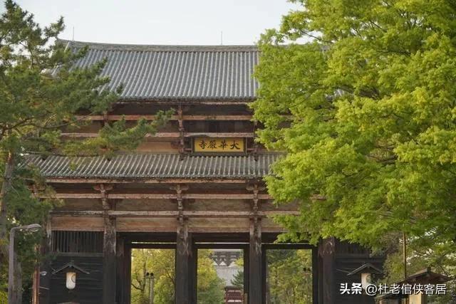 日本之旅奈良,日本奈良东大寺旅游