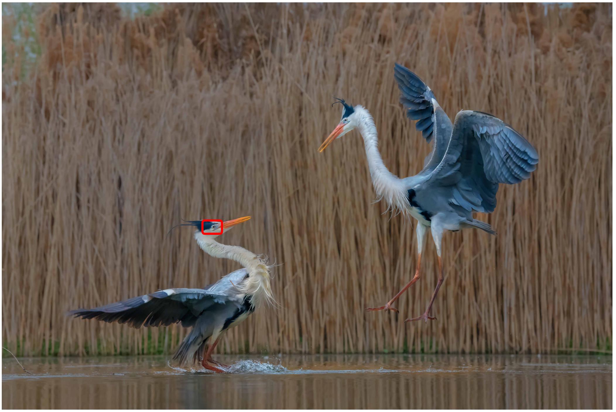 摄影入门知识相机拍摄模式详解,相机对焦入门基础知识大全