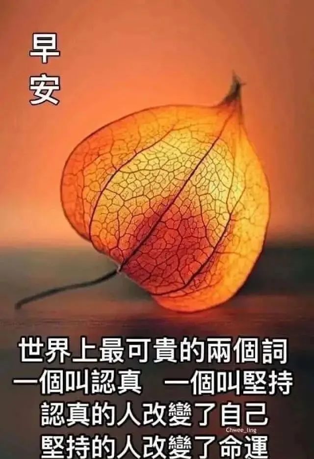 清晨特漂亮早上好祝福语动态图片,最新漂亮早上好祝福语动态表情图