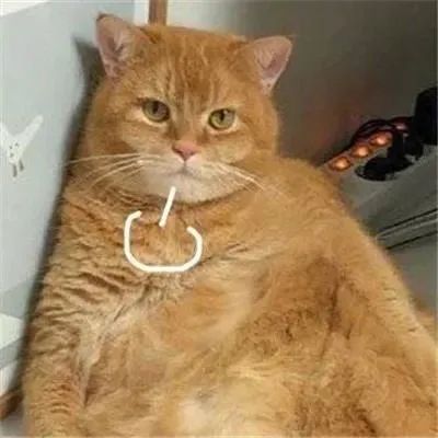 女星怀孕7个月注射185次*品毒**，疯狂堕落，太可悲了