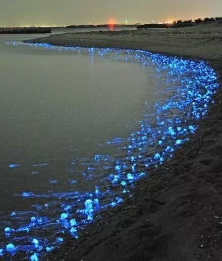 100个大自然奇观图片,世界50大自然奇观排名