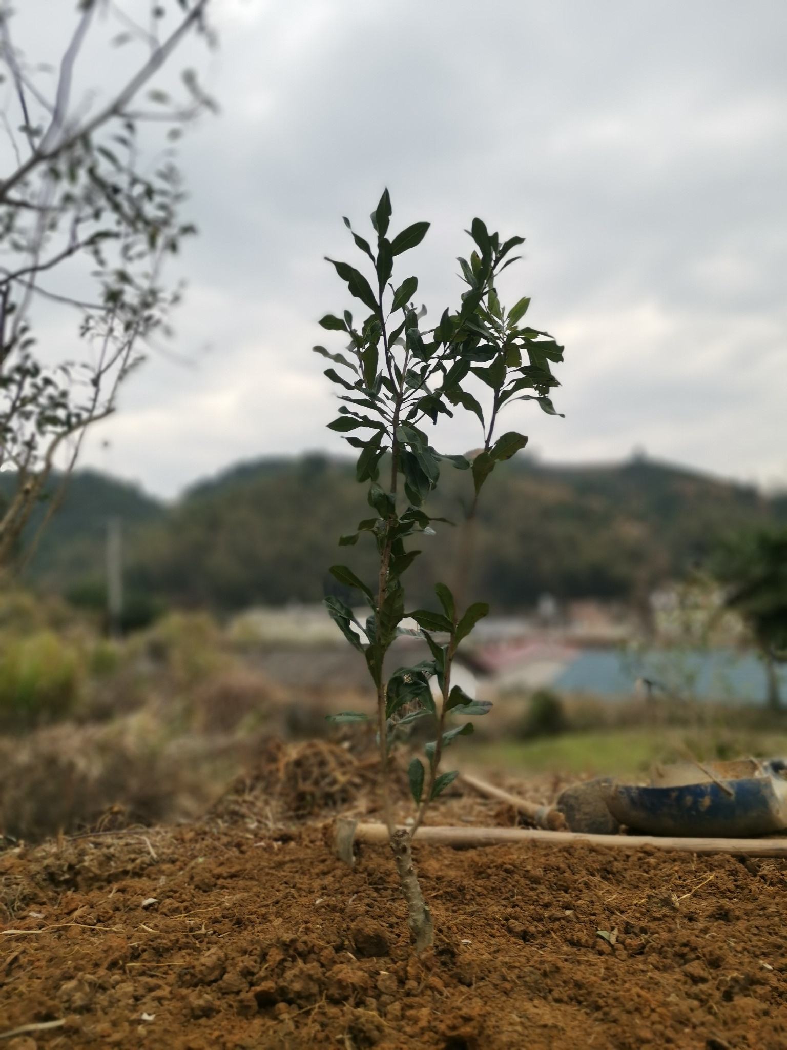 雪佛兰科沃兹大灯怎么更换,雪佛兰科沃兹大灯led更换视频