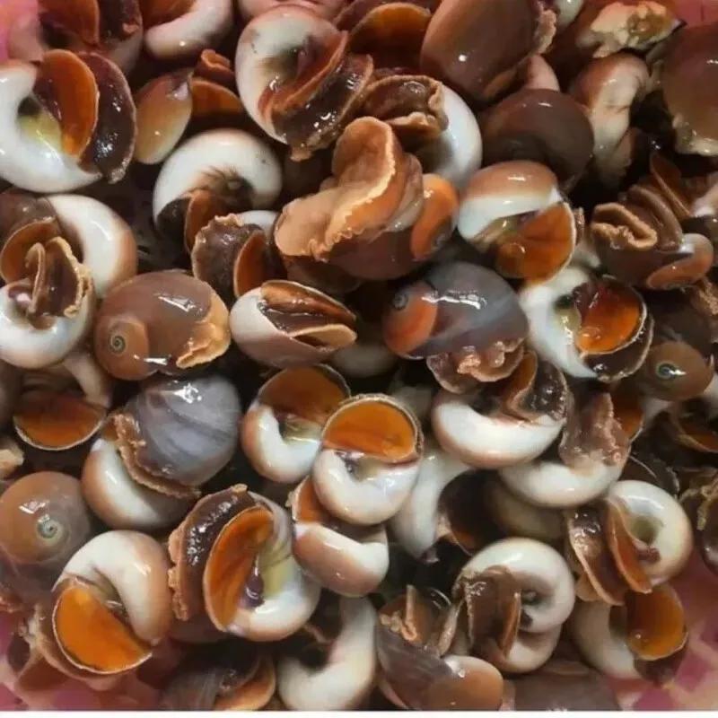 丹东东港旅游攻略自由行,丹东避暑游玩的地方推荐