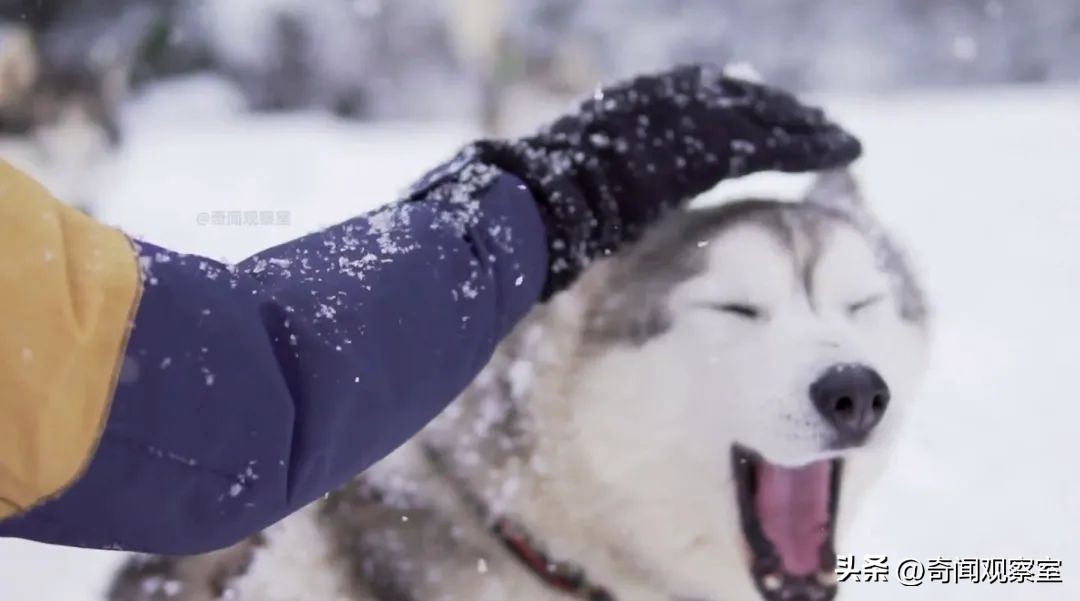 放你走再*击狙**你!12年犯案30多起,被判461年监禁,美国旧案