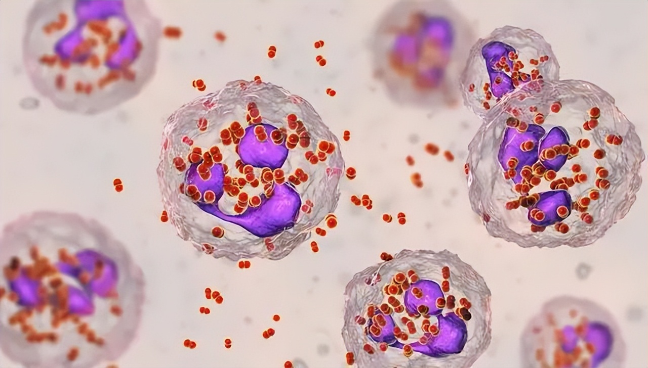 湿疣梅毒淋病怎么引起的,淋病梅毒湿疣症状