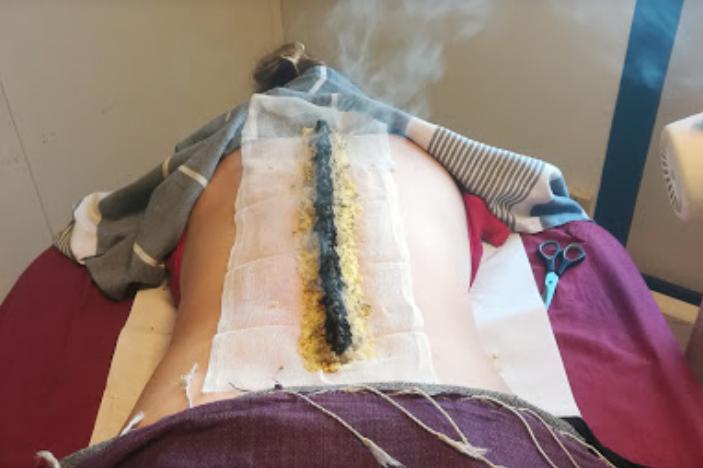 法国的国宝级老中医,中医药治老狗