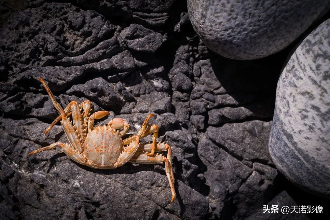 徕卡相机德味最浓的一款,徕卡德味相机有哪些