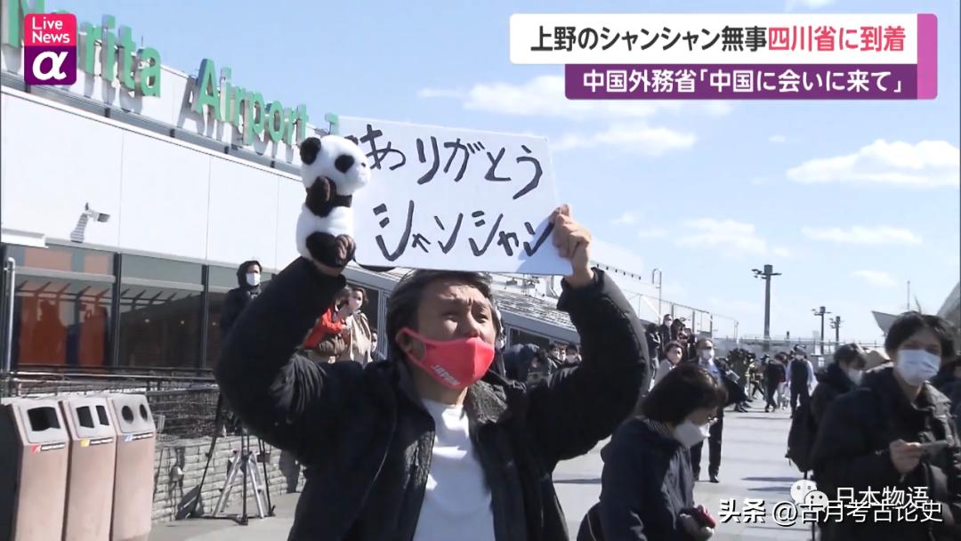 旅日大熊猫回国日本人反应,四只旅日大熊猫陆续归国
