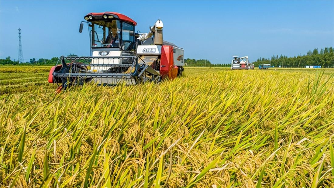 淡水会加剧土地盐碱化吗,淡水能导致盐碱化吗