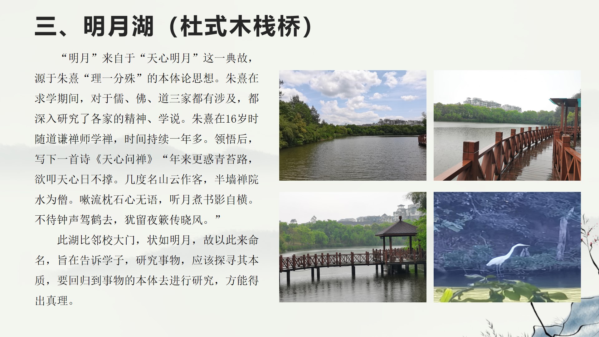 武夷学院野餐,武夷学院校园游览视频