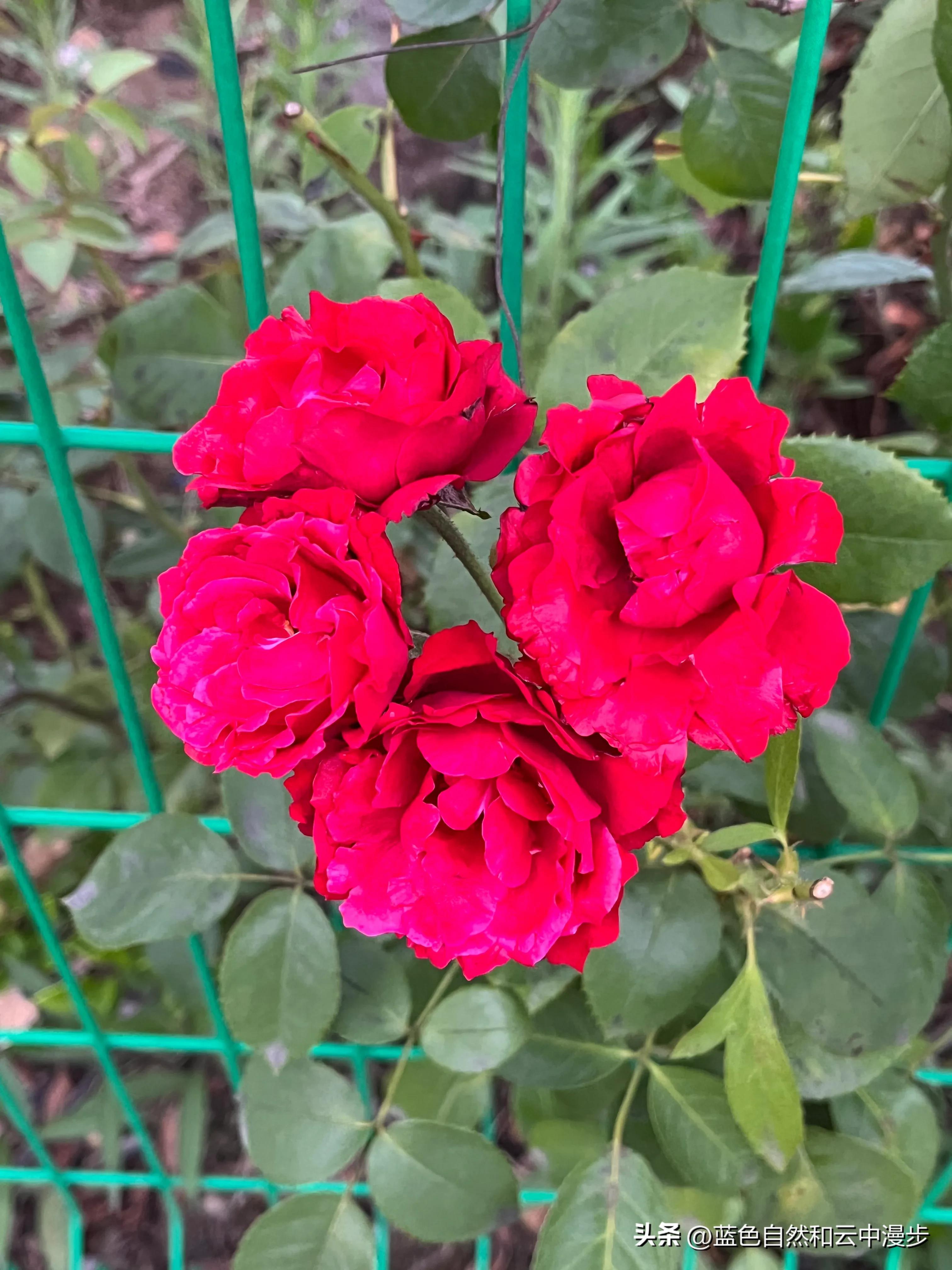 高中生找暑期工,找暑假工比较靠谱的方法