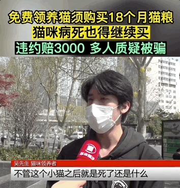 免费领养一只品种猫，猫死后强行要我买猫粮，赔3000