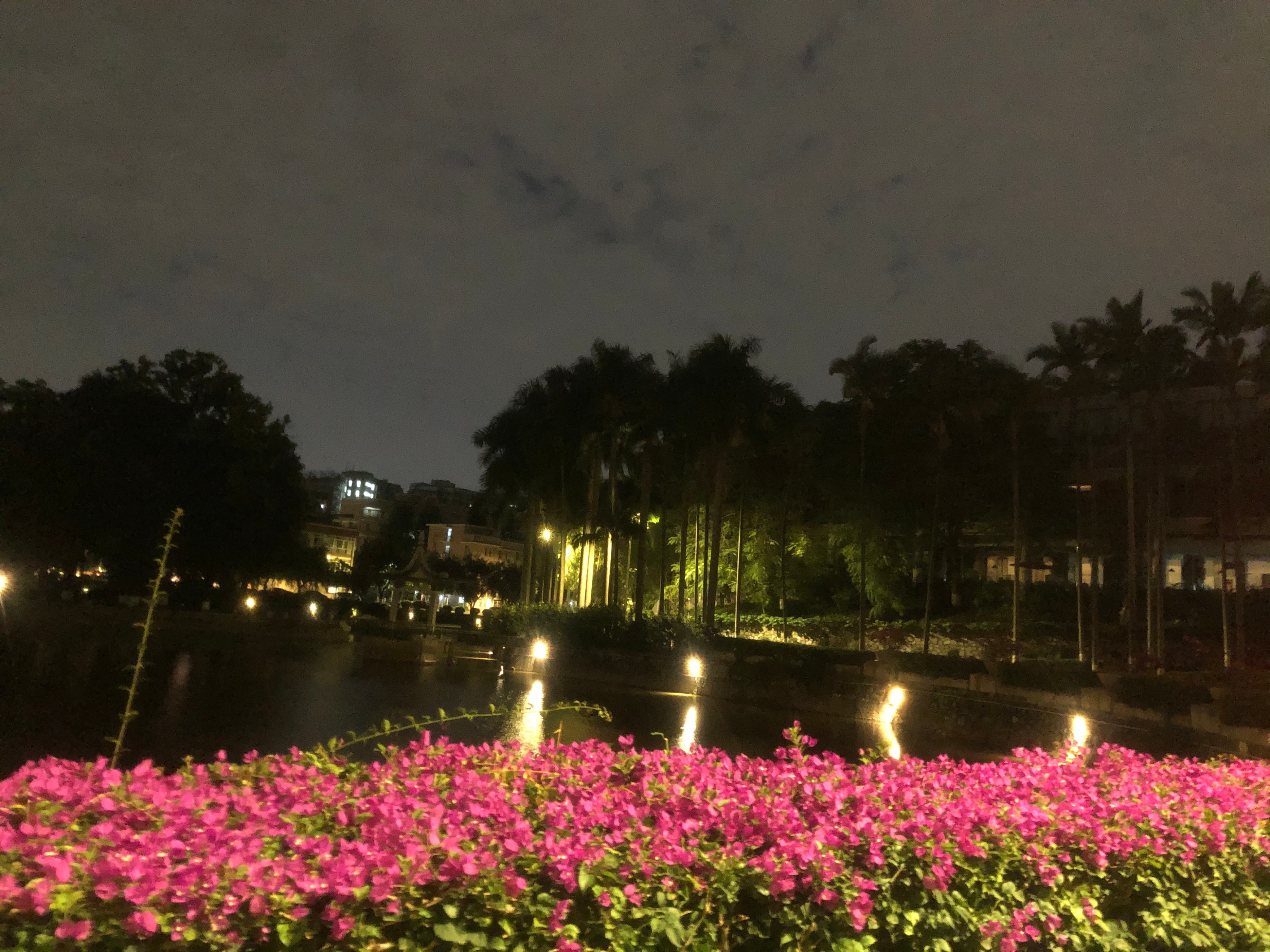 广州小城五山这个地方有多少个大学?