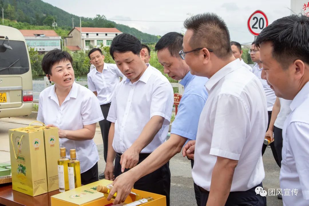 奏响新时代乡村振兴交响曲,团风县乡村振兴局项目公示