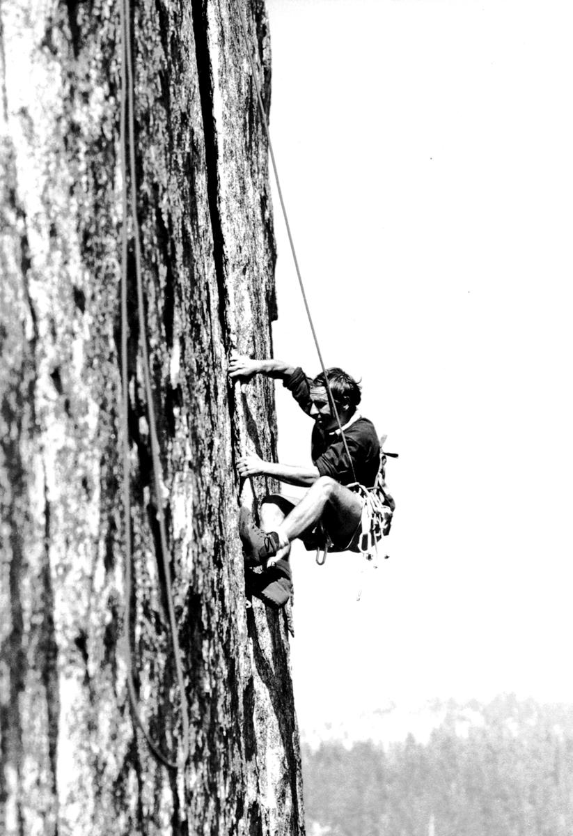 patagonia的总裁,patagonia设计师