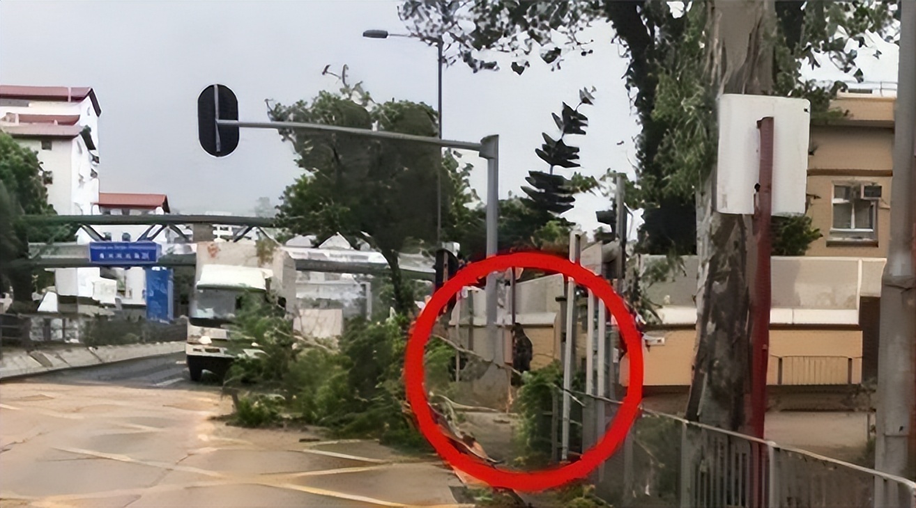 从未捐款过的明星,从来不捐款的明星周润发