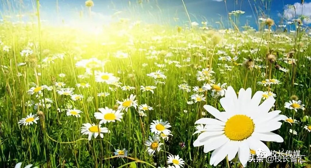 张俊容：中层干部的角色定位与责任担当