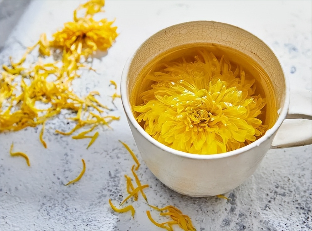 菊花买哪一种菊花比较好,4种菊花你选哪一种