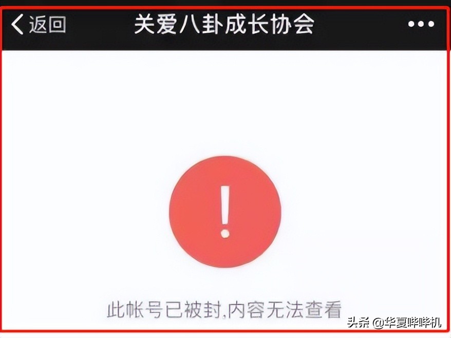 娱乐圈五大“瓜王”，让多少明星夜不能寐？