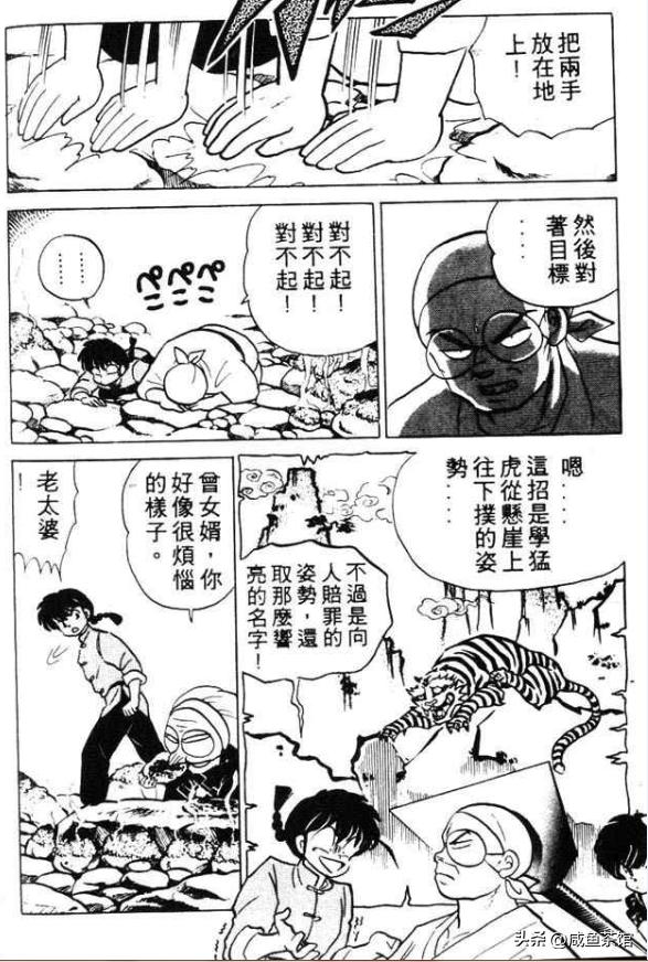 乱马12部分详解,乱马的招式