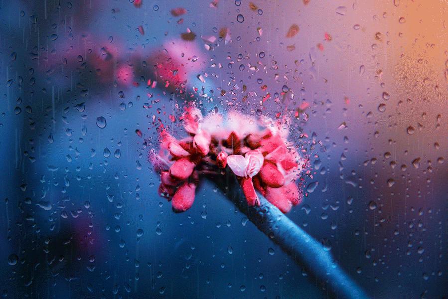 对知己的理解是什么,知己到底怎么理解