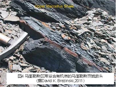 页岩故事:页岩是地壳上分布最广的沉积岩