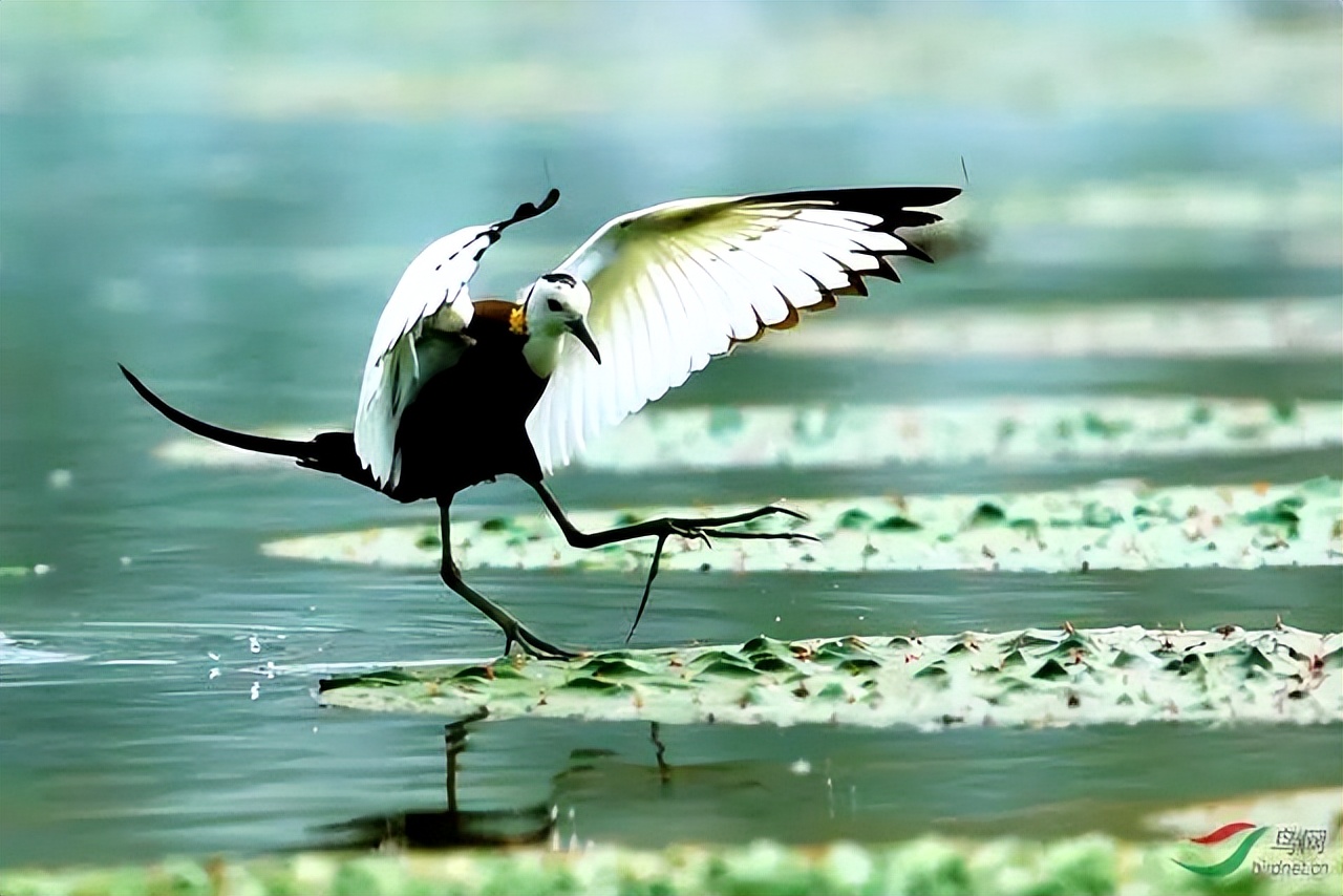 信阳十大旅游乡村,信阳周边乡村旅游景点推荐