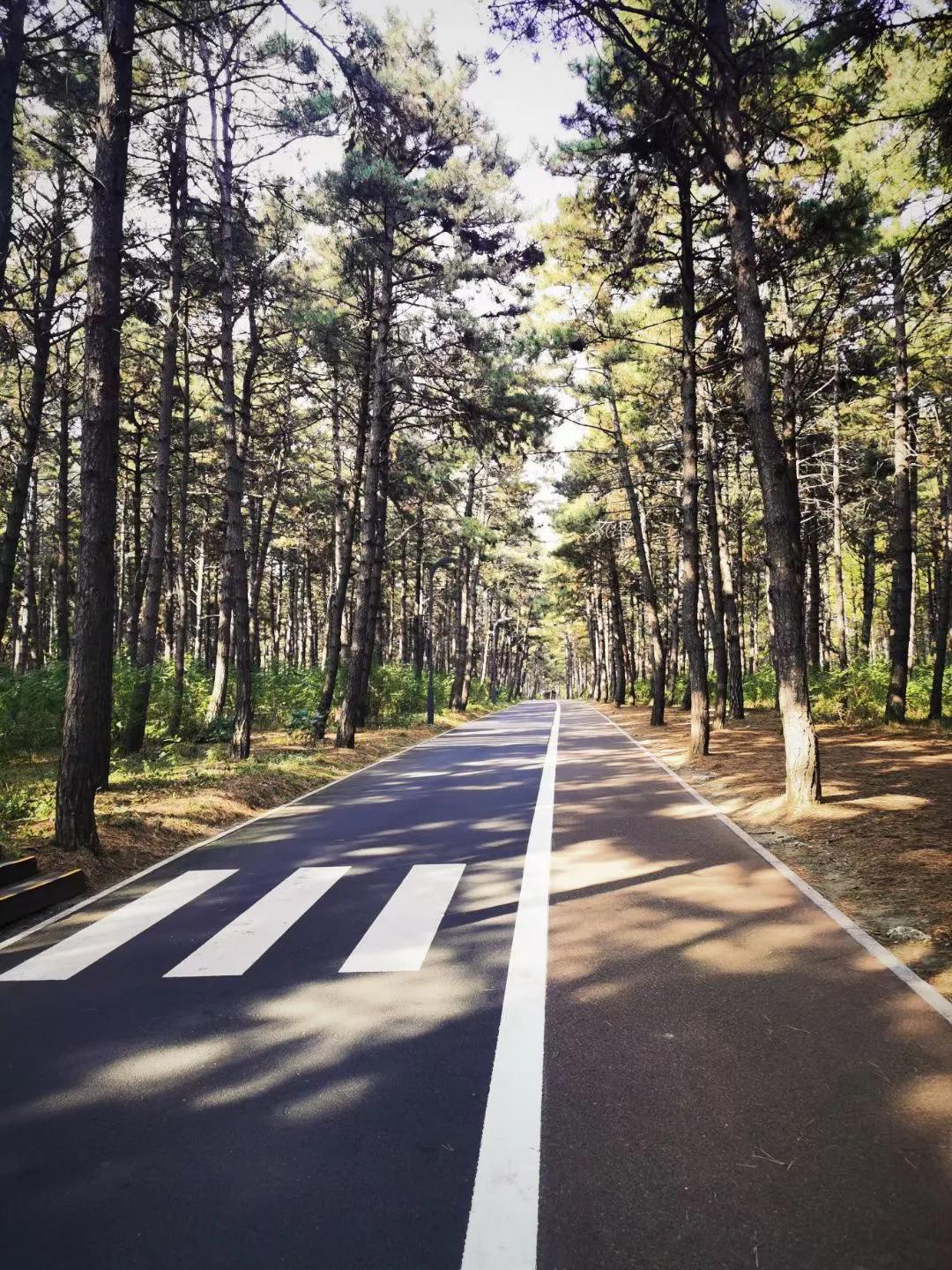 家用车首选2023,家用车首选