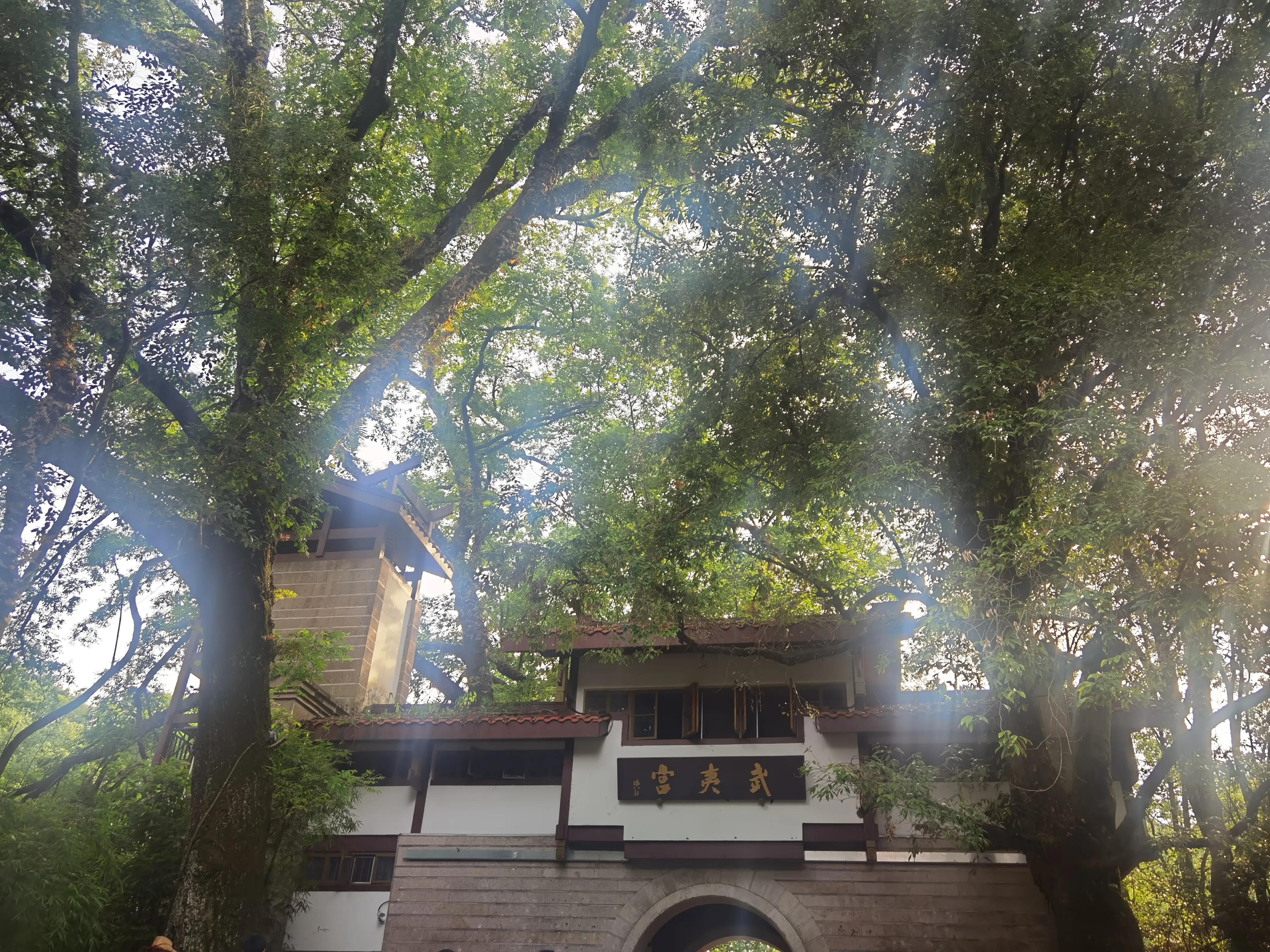 武夷山三天两夜旅游攻略导游,武夷山三天两夜旅游