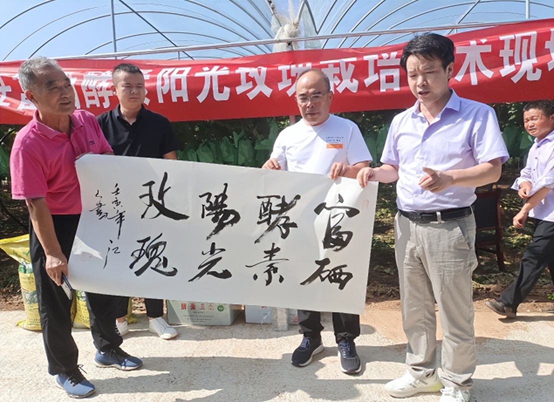 最火的果蔬酵素,富硒植物酵素的功效