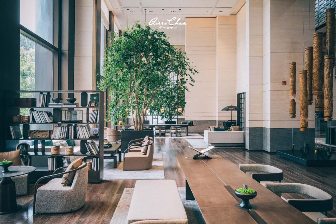 广东最新开业万豪酒店,新开业万豪酒店