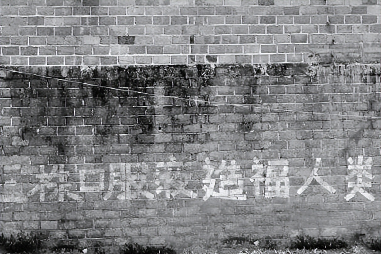 湖南老汉喝下农药起死回生,湖南老汉喝三株口服液去世