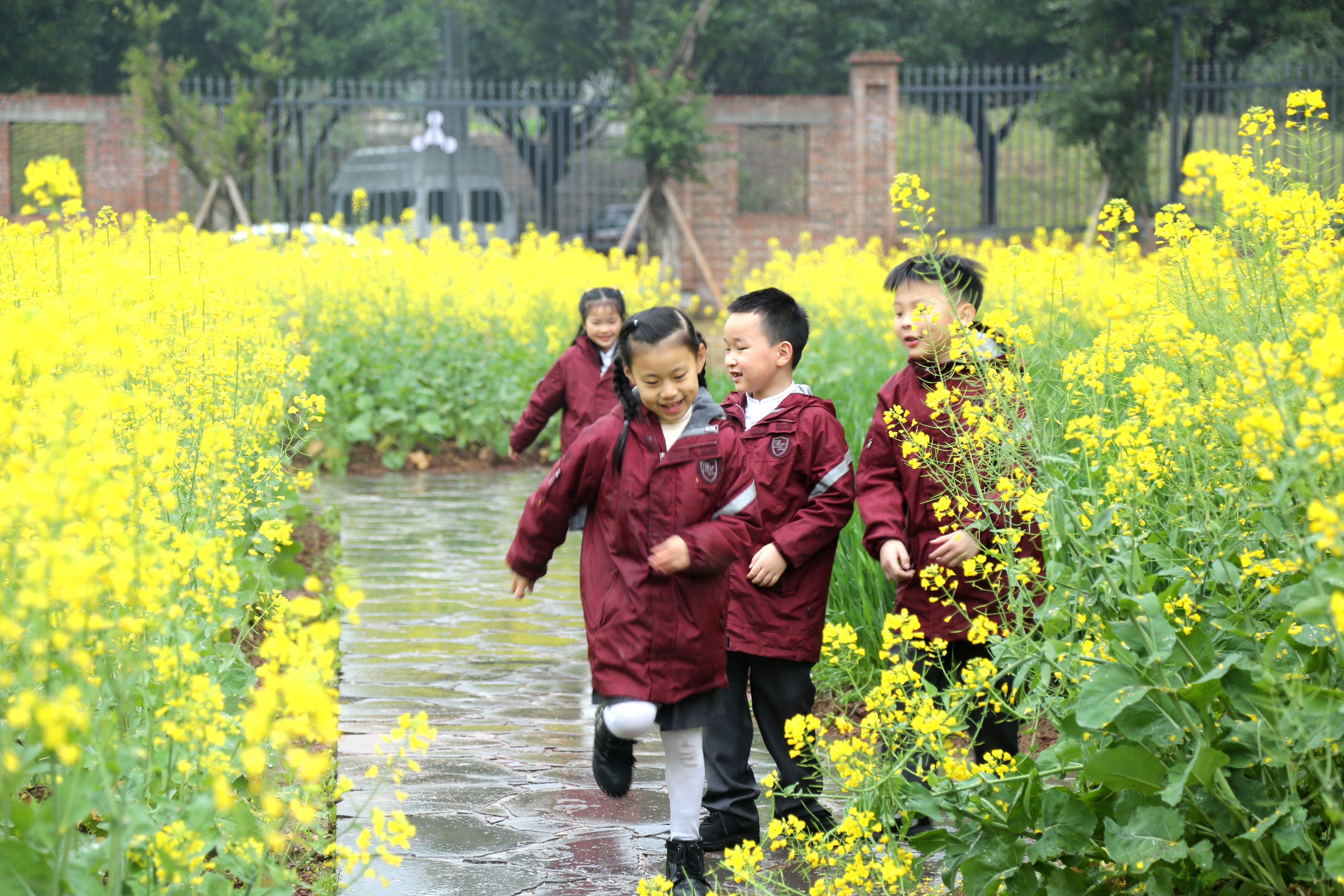 向儿童学习以儿童视角办学童心小学教育集团自然而然做教育