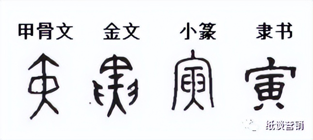 详解十二生肖中五行,详解十二地支所代表的含义