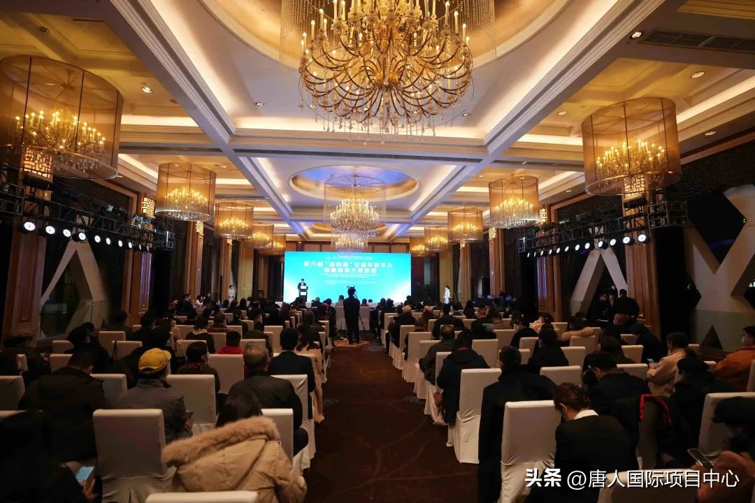 全球华侨华人创新创业大赛,国际青年创新创业技能大赛总决赛