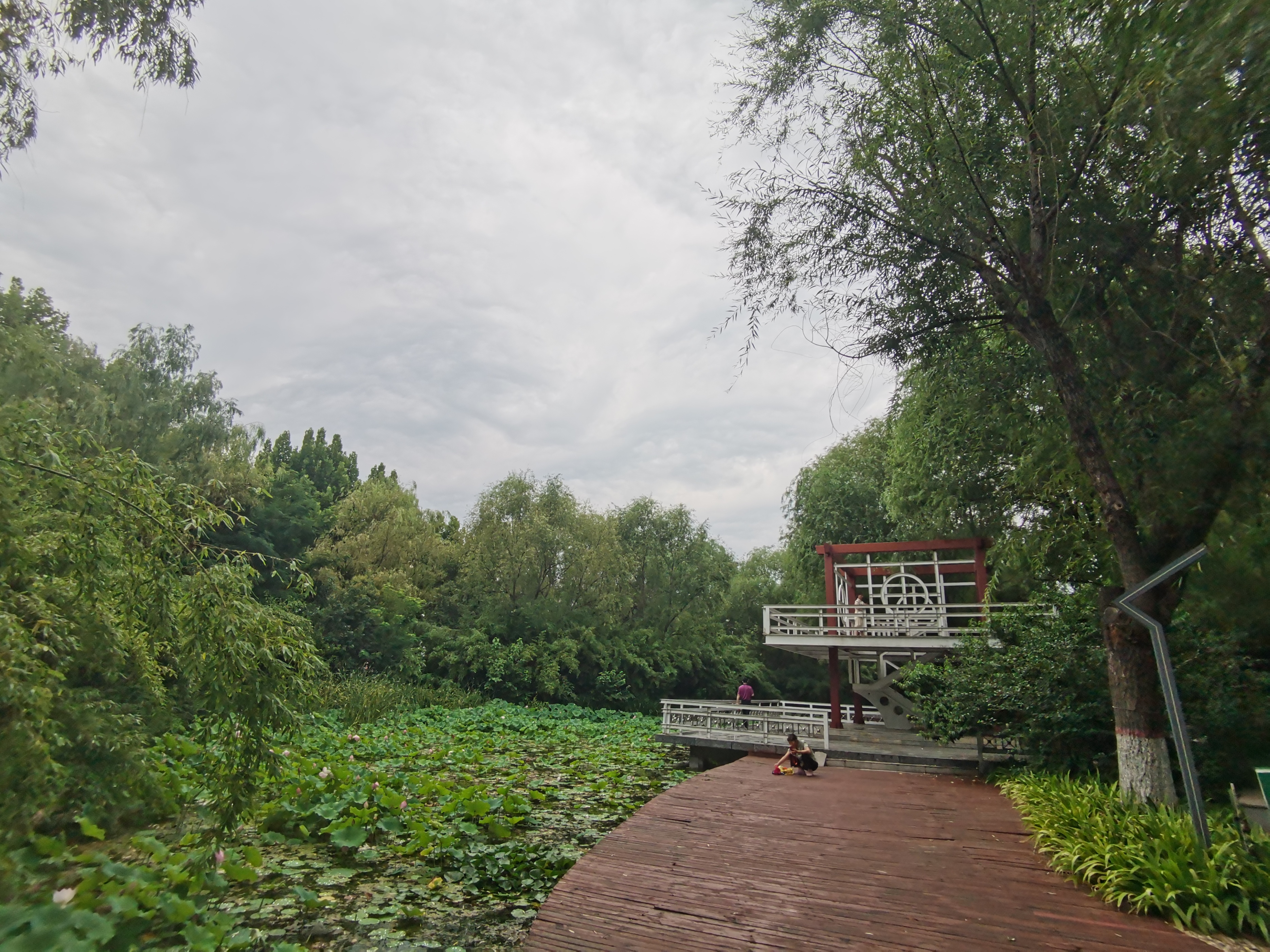 寻夏雨荷,寻找夏雨荷的景点
