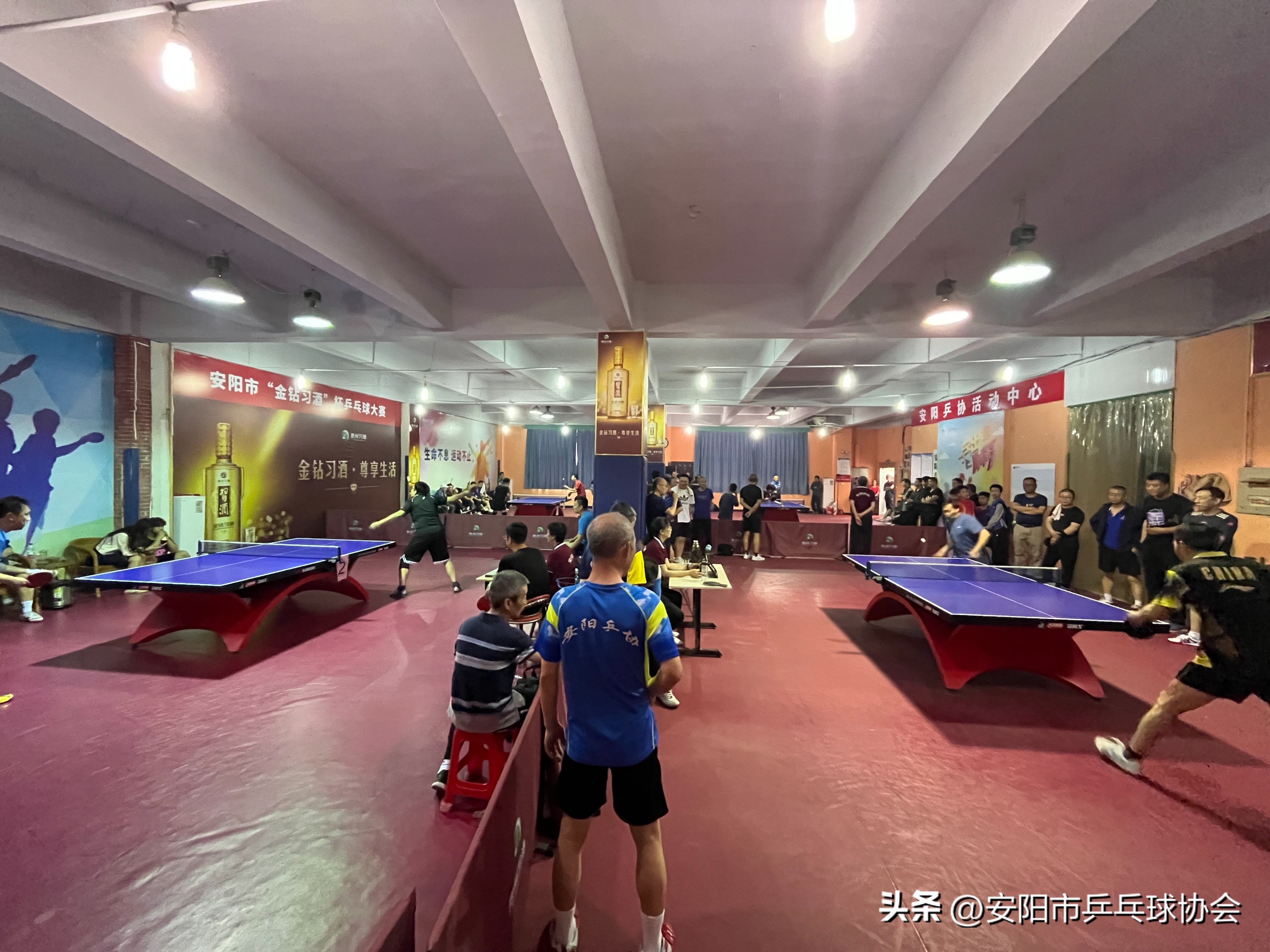 安阳市乒乓球比赛在哪报名,安阳市乒乓球协会总决赛