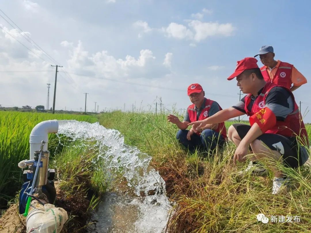 新建区联圩镇：打井迎甘泉抗旱保收成