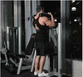 健身房常规器械名称及使用方法