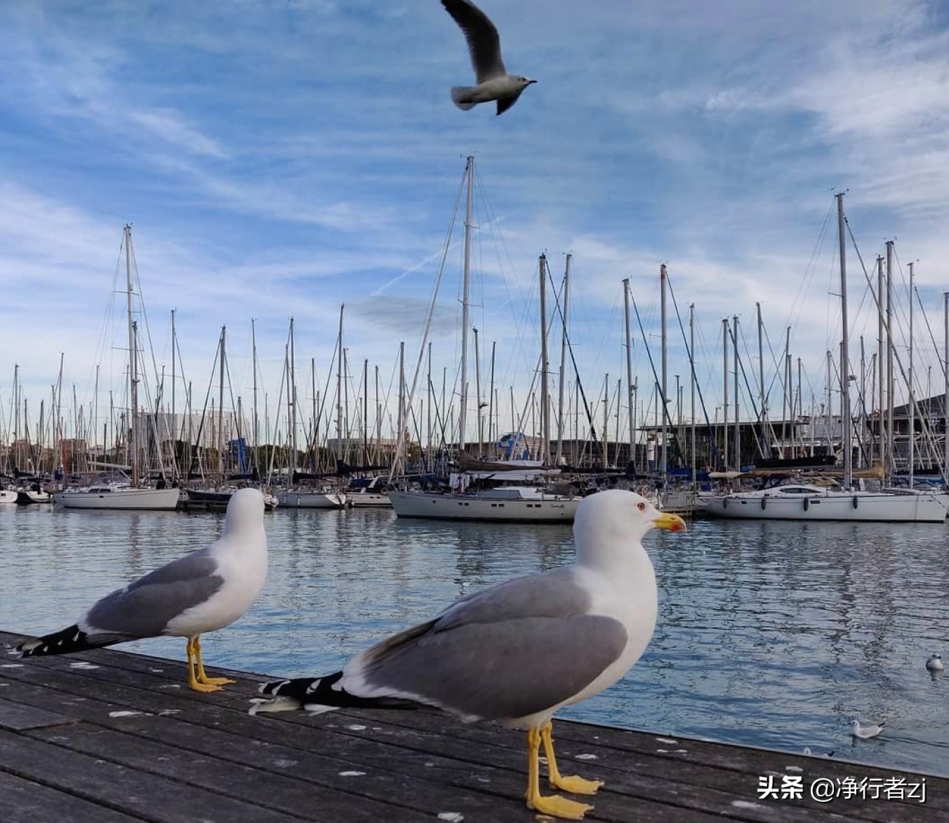 冬日暖阳拔“牙”记（34）巴塞罗那：高迪打造的欧洲之花（上）