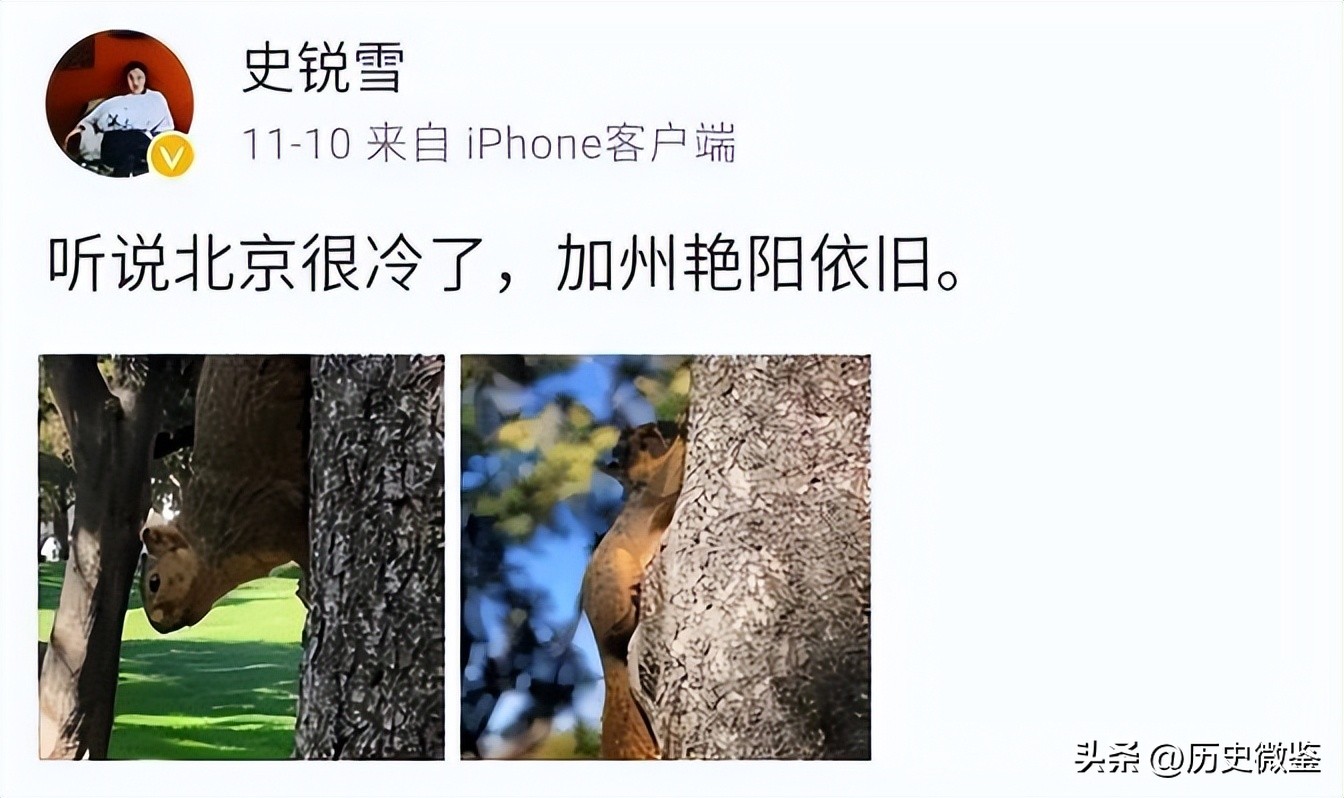 女总裁被诈骗5亿,80后女老板诈骗759万判几年