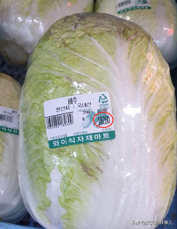 100块钱一颗的白菜真的假的,几十块钱买了颗白菜实在舍不得吃