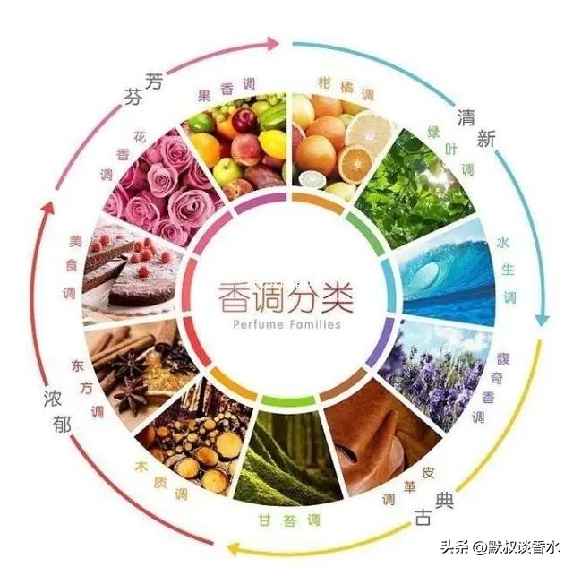 香水各种香调介绍 (香水十大香调科普)