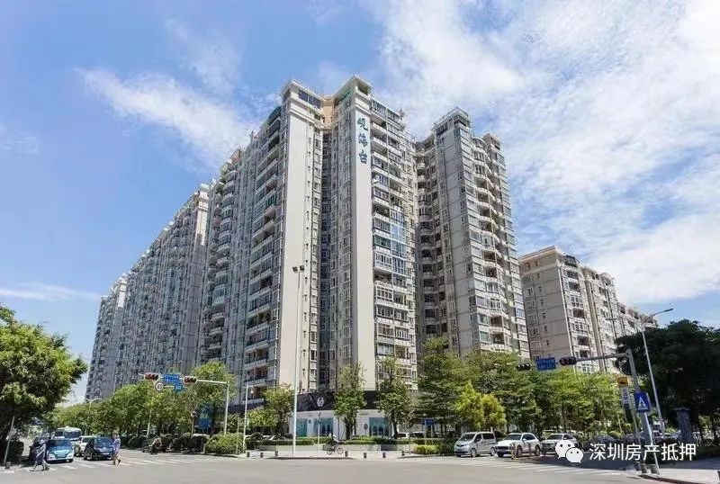 深圳学位房|大学区概念提出半年，目前学位房处境如何？