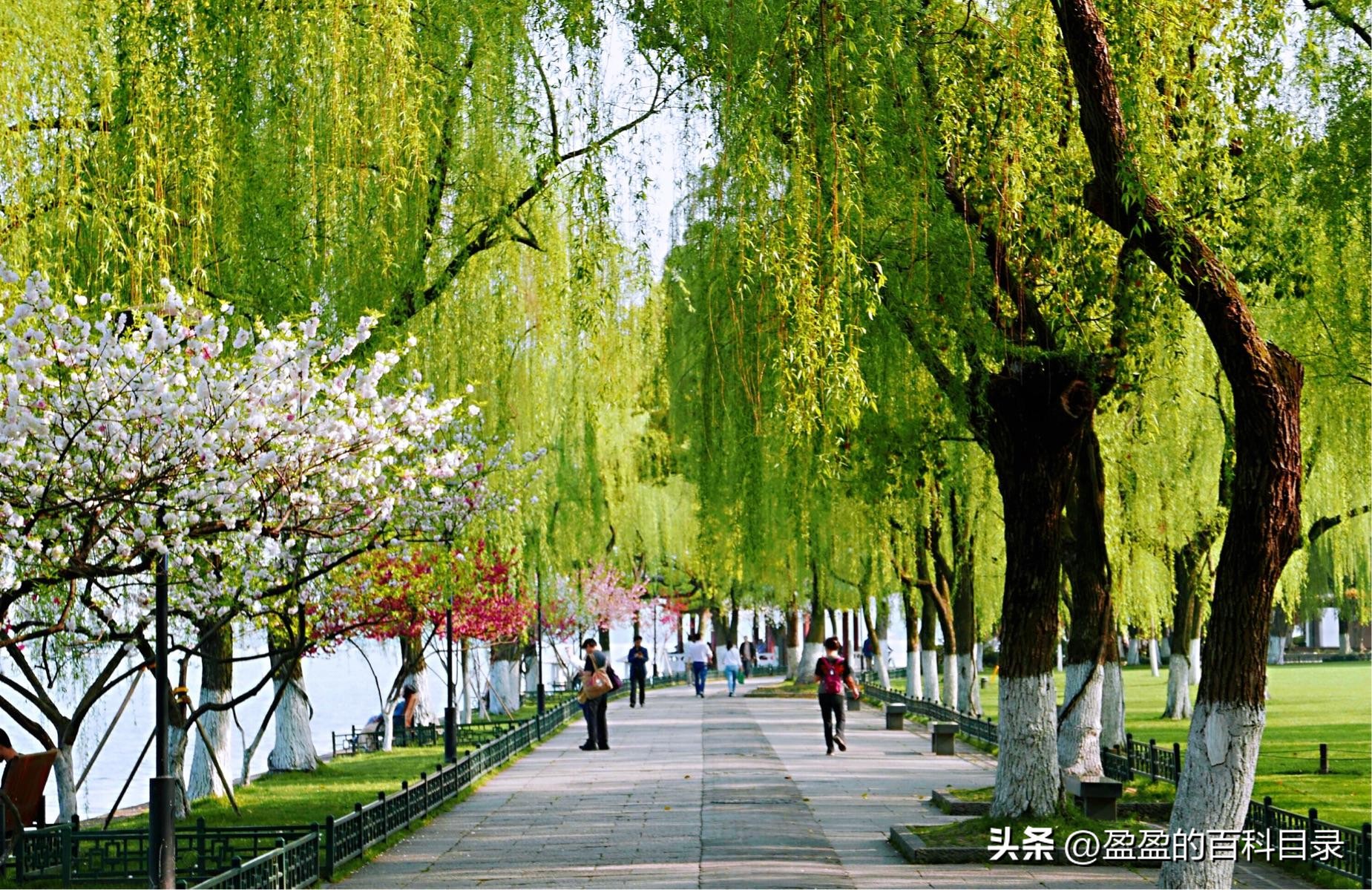 杭州西湖游玩全攻略,杭州西湖游玩攻略详细