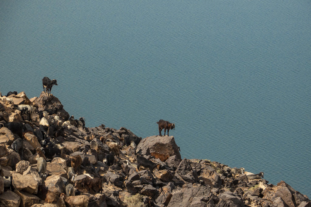 约旦，迷醉在路上的日暮与晨昏